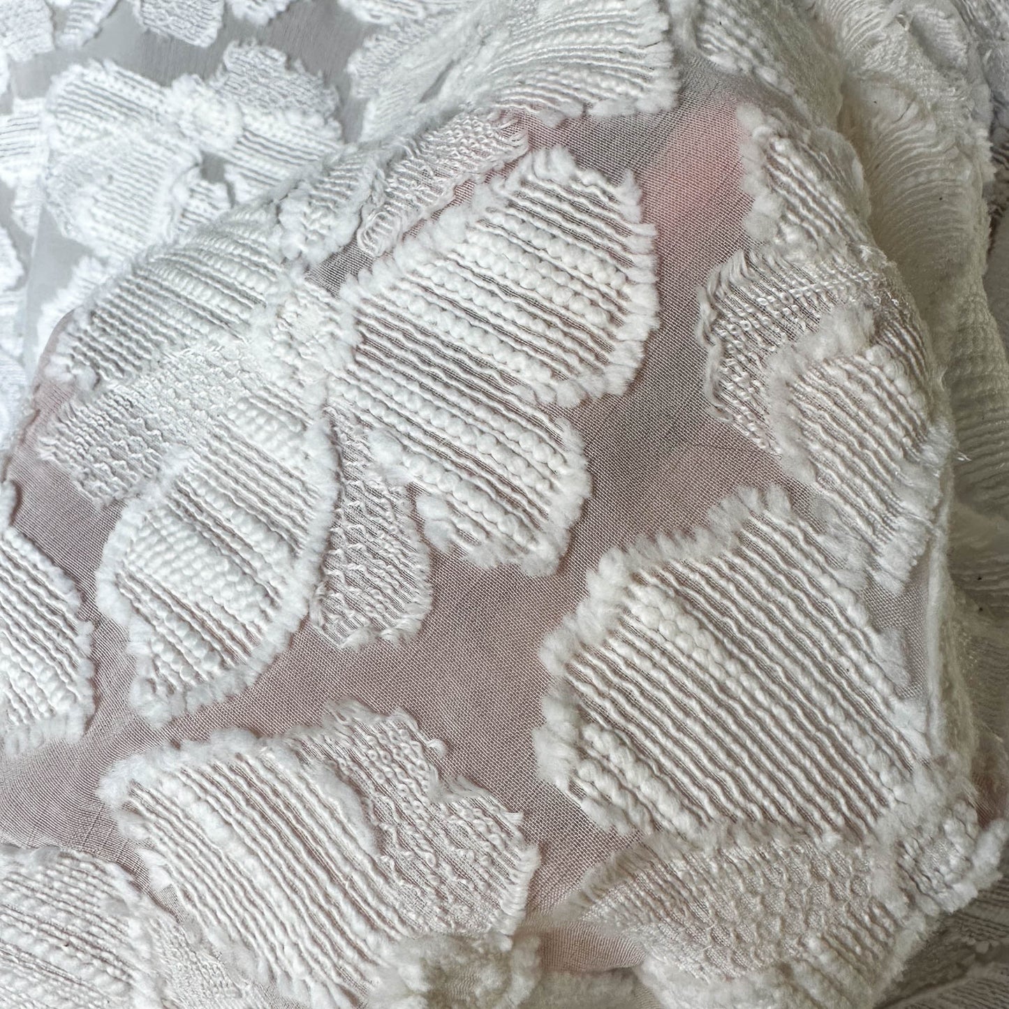 Embroidered Chiffon in Ivory